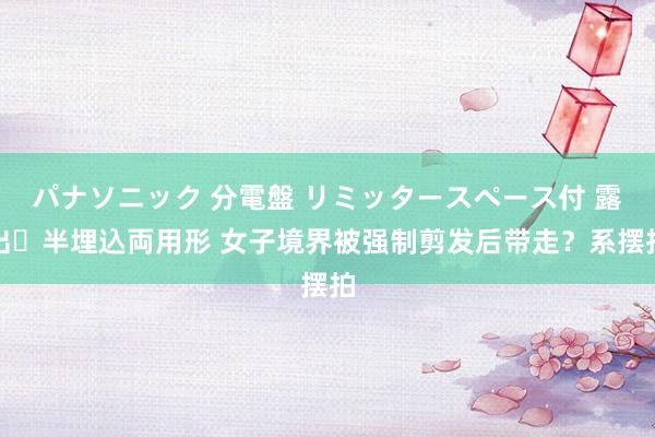 パナソニック 分電盤 リミッタースペース付 露出・半埋込両用形 女子境界被强制剪发后带走？系摆拍