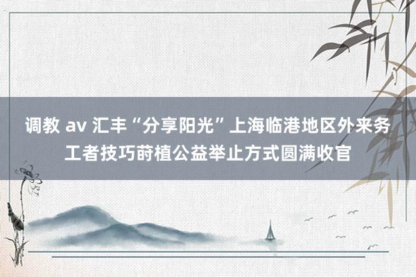 调教 av 汇丰“分享阳光”上海临港地区外来务工者技巧莳植公益举止方式圆满收官