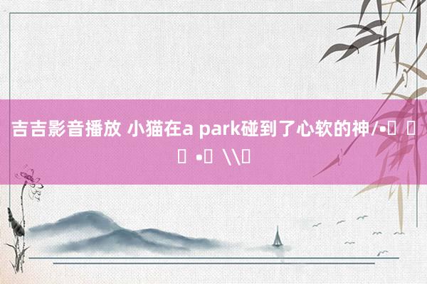 吉吉影音播放 小猫在a park碰到了心软的神/•᷅‎‎•᷄\୭