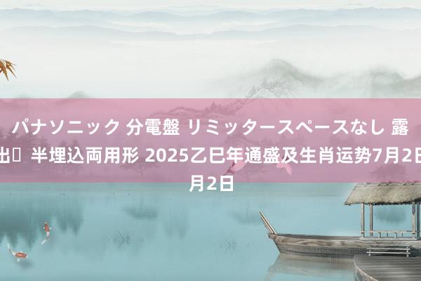 パナソニック 分電盤 リミッタースペースなし 露出・半埋込両用形 2025乙巳年通盛及生肖运势7月2日